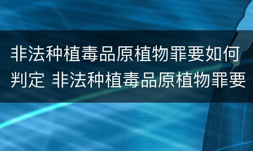 非法种植毒品原植物罪要如何判定 非法种植毒品原植物罪要如何判定呢