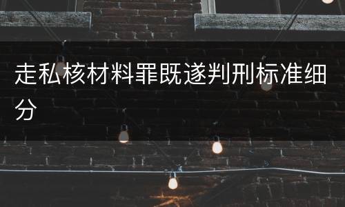 走私核材料罪既遂判刑标准细分