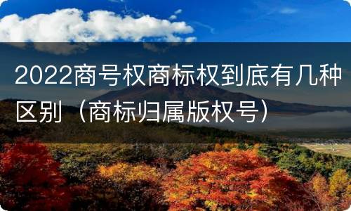 2022商号权商标权到底有几种区别（商标归属版权号）