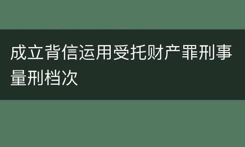 成立背信运用受托财产罪刑事量刑档次
