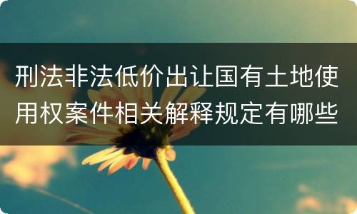 刑法非法低价出让国有土地使用权案件相关解释规定有哪些内容