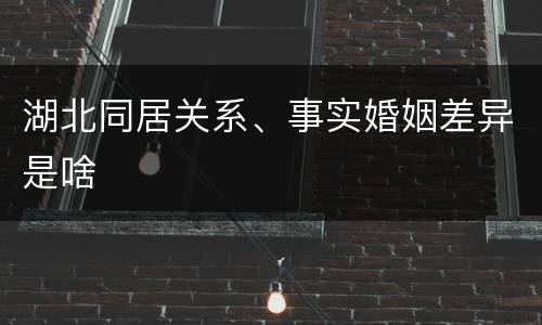湖北同居关系、事实婚姻差异是啥