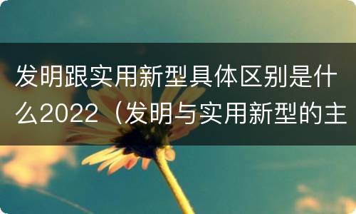 发明跟实用新型具体区别是什么2022（发明与实用新型的主要区别）