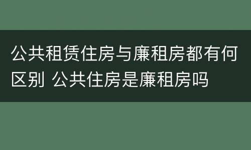 公共租赁住房与廉租房都有何区别 公共住房是廉租房吗