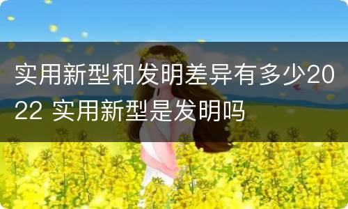 实用新型和发明差异有多少2022 实用新型是发明吗