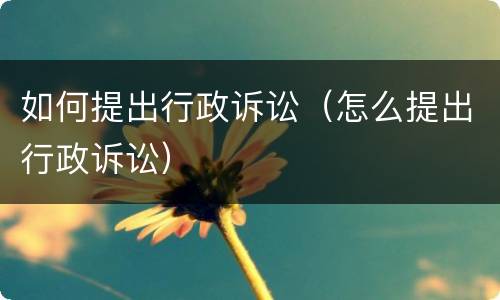 如何提出行政诉讼（怎么提出行政诉讼）