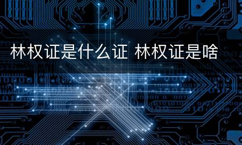 林权证是什么证 林权证是啥