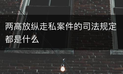 两高放纵走私案件的司法规定都是什么