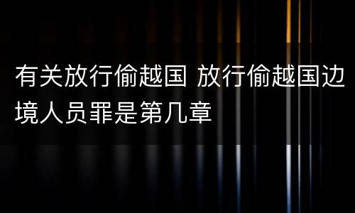 有关放行偷越国 放行偷越国边境人员罪是第几章