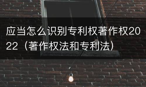 应当怎么识别专利权著作权2022（著作权法和专利法）