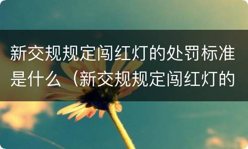 新交规规定闯红灯的处罚标准是什么（新交规规定闯红灯的处罚标准是什么意思）