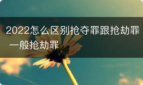 2022怎么区别抢夺罪跟抢劫罪 一般抢劫罪