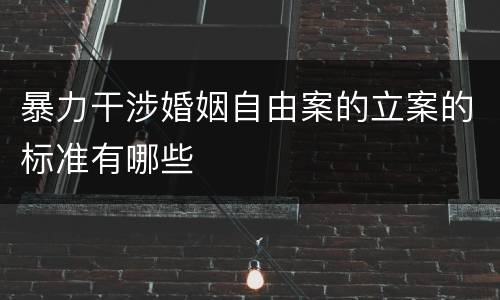 暴力干涉婚姻自由案的立案的标准有哪些