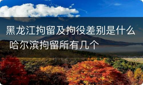 黑龙江拘留及拘役差别是什么 哈尔滨拘留所有几个
