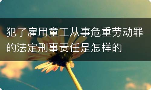 犯了雇用童工从事危重劳动罪的法定刑事责任是怎样的