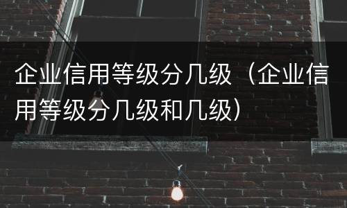 企业信用等级分几级（企业信用等级分几级和几级）