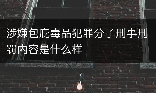 涉嫌包庇毒品犯罪分子刑事刑罚内容是什么样