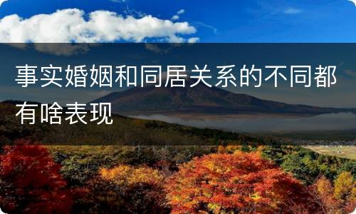 事实婚姻和同居关系的不同都有啥表现