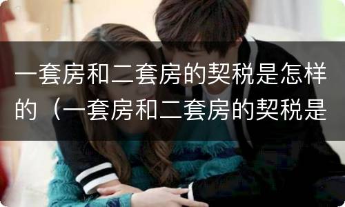 一套房和二套房的契税是怎样的（一套房和二套房的契税是怎样的区别）
