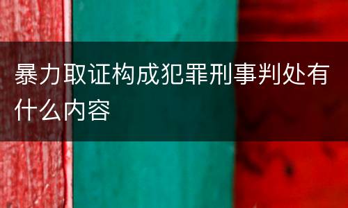 暴力取证构成犯罪刑事判处有什么内容