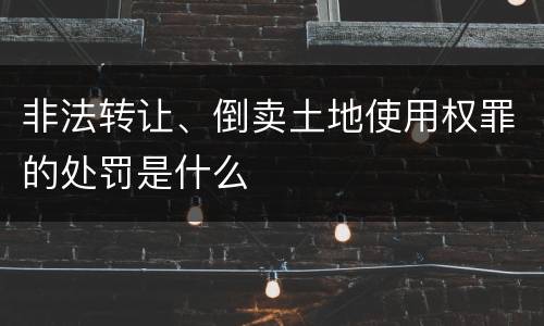 非法转让、倒卖土地使用权罪的处罚是什么