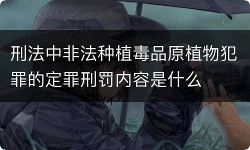 刑法中非法种植毒品原植物犯罪的定罪刑罚内容是什么