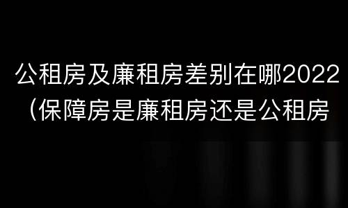 公租房及廉租房差别在哪2022（保障房是廉租房还是公租房）