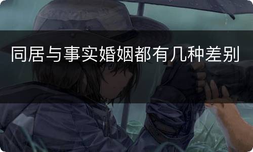 同居与事实婚姻都有几种差别