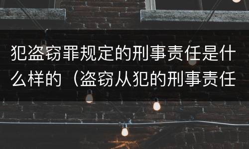 犯盗窃罪规定的刑事责任是什么样的（盗窃从犯的刑事责任）