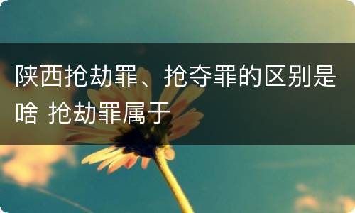 陕西抢劫罪、抢夺罪的区别是啥 抢劫罪属于