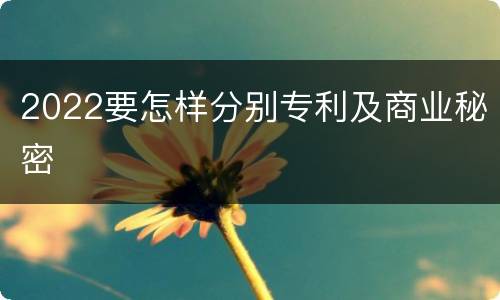 2022要怎样分别专利及商业秘密