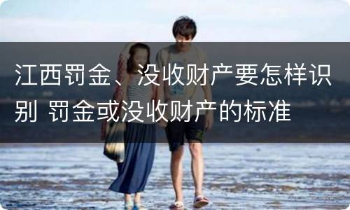 江西罚金、没收财产要怎样识别 罚金或没收财产的标准