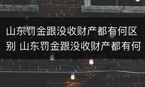 山东罚金跟没收财产都有何区别 山东罚金跟没收财产都有何区别呢
