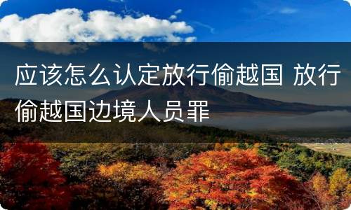 应该怎么认定放行偷越国 放行偷越国边境人员罪