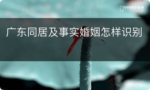 广东同居及事实婚姻怎样识别