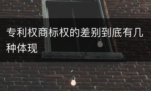 专利权商标权的差别到底有几种体现