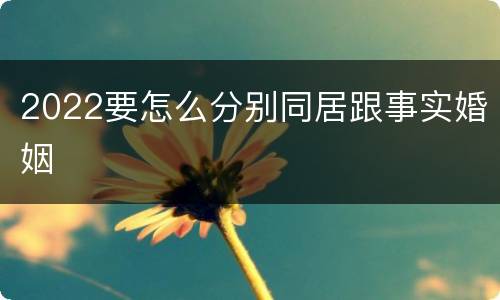 2022要怎么分别同居跟事实婚姻