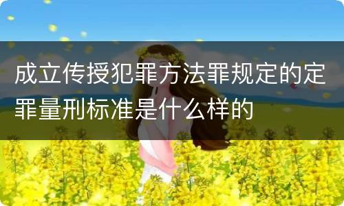 成立传授犯罪方法罪规定的定罪量刑标准是什么样的