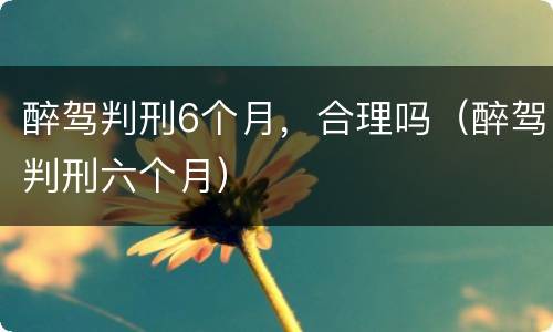 醉驾判刑6个月，合理吗（醉驾判刑六个月）