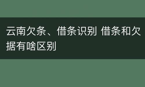 云南欠条、借条识别 借条和欠据有啥区别