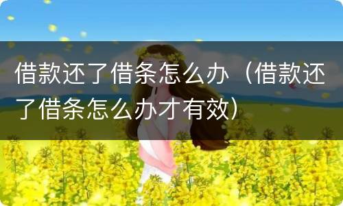 借款还了借条怎么办（借款还了借条怎么办才有效）