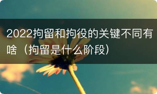 2022拘留和拘役的关键不同有啥（拘留是什么阶段）