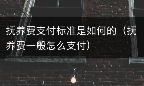 抚养费支付标准是如何的（抚养费一般怎么支付）