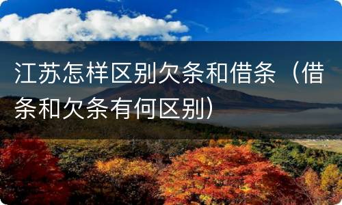 江苏怎样区别欠条和借条（借条和欠条有何区别）