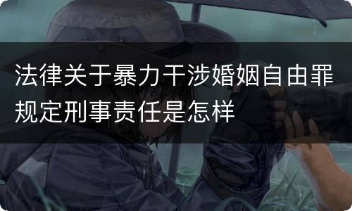 法律关于暴力干涉婚姻自由罪规定刑事责任是怎样