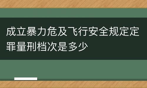 成立暴力危及飞行安全规定定罪量刑档次是多少