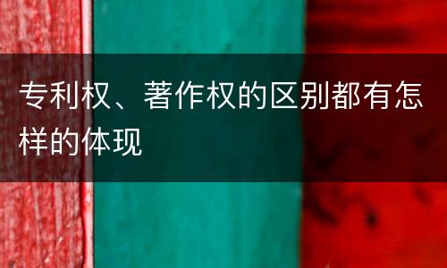 专利权、著作权的区别都有怎样的体现