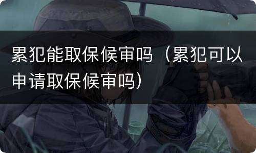 累犯能取保候审吗（累犯可以申请取保候审吗）