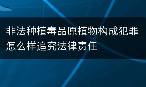 非法种植毒品原植物构成犯罪怎么样追究法律责任