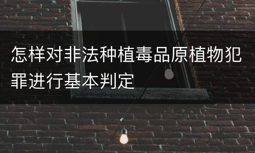 怎样对非法种植毒品原植物犯罪进行基本判定